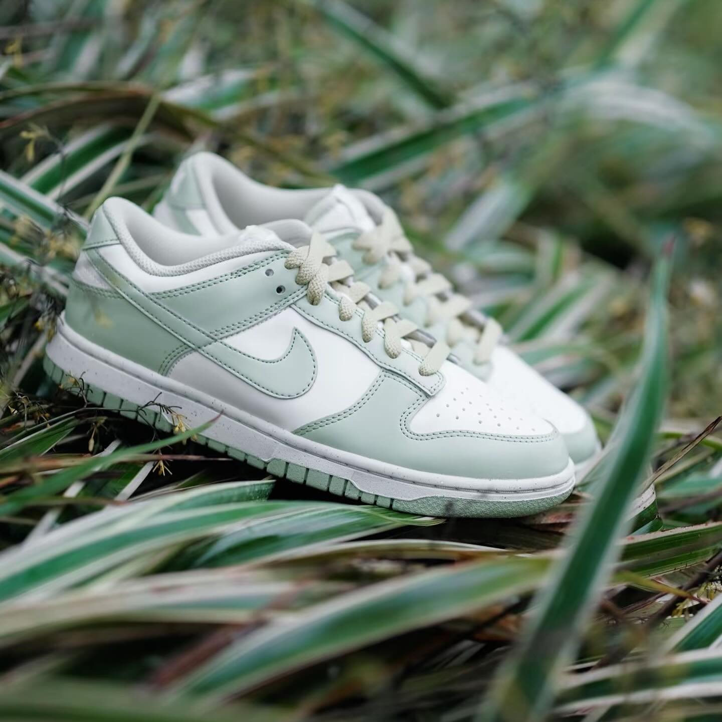 Nike Dunk Low 奶油綠 (HF5384-300)