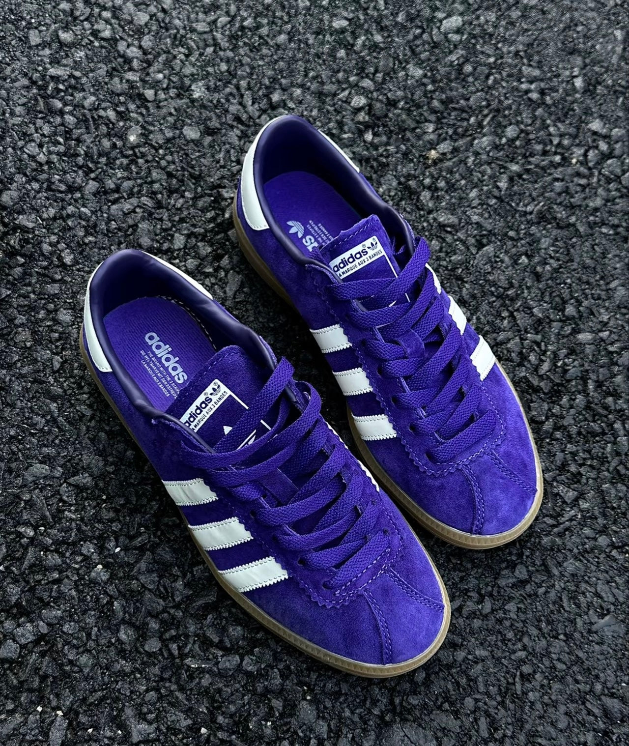 Adidas Originals Bermuda 深紫 (IE7427)