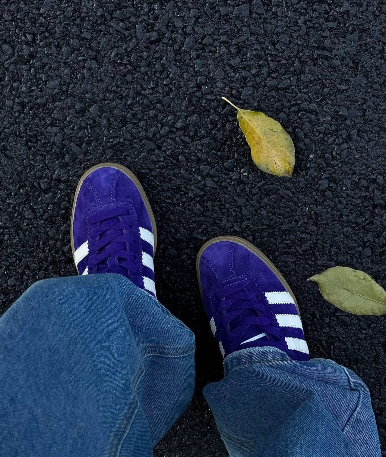Adidas Originals Bermuda 深紫 (IE7427)