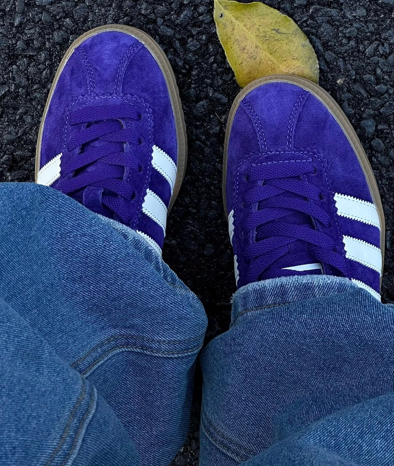 Adidas Originals Bermuda 深紫 (IE7427)