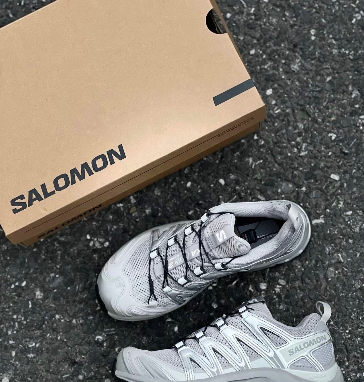 Salomon XA-Pro 3D 灰銀 (416175)