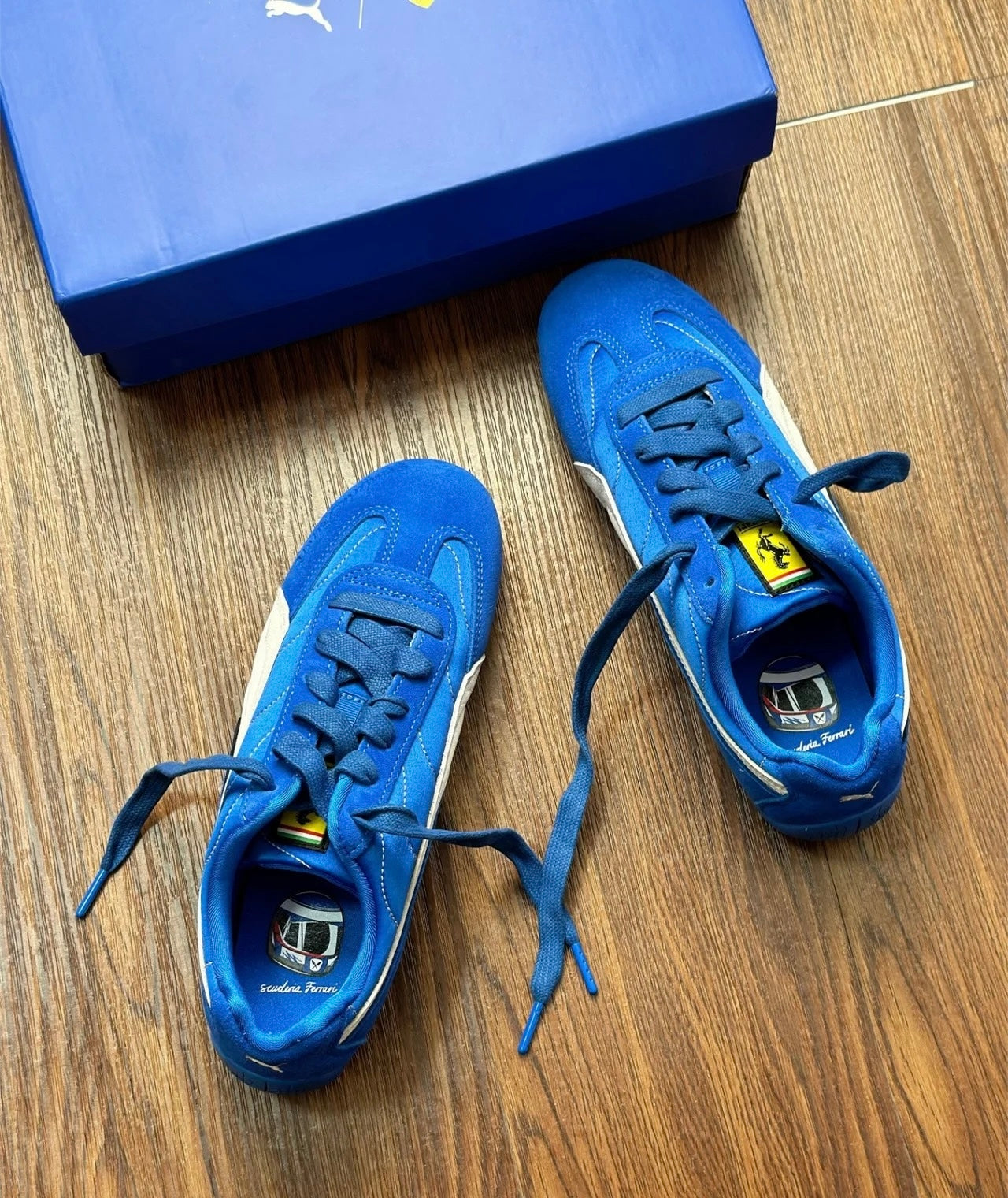 Scuderia Ferrari HP × PUMA Speedcat 法拉利藍色 (309077-02)