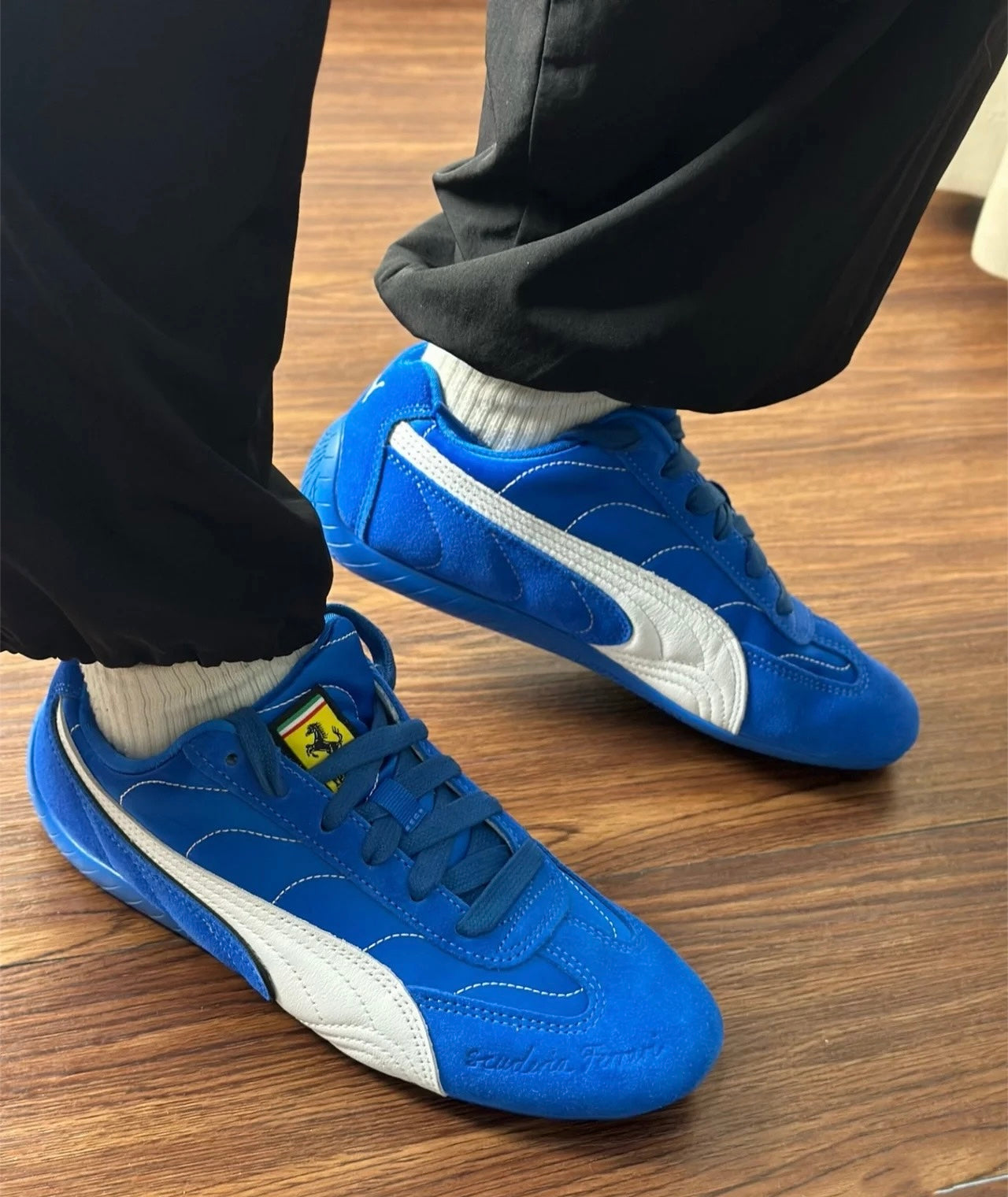 Scuderia Ferrari HP × PUMA Speedcat 法拉利藍色 (309077-02)
