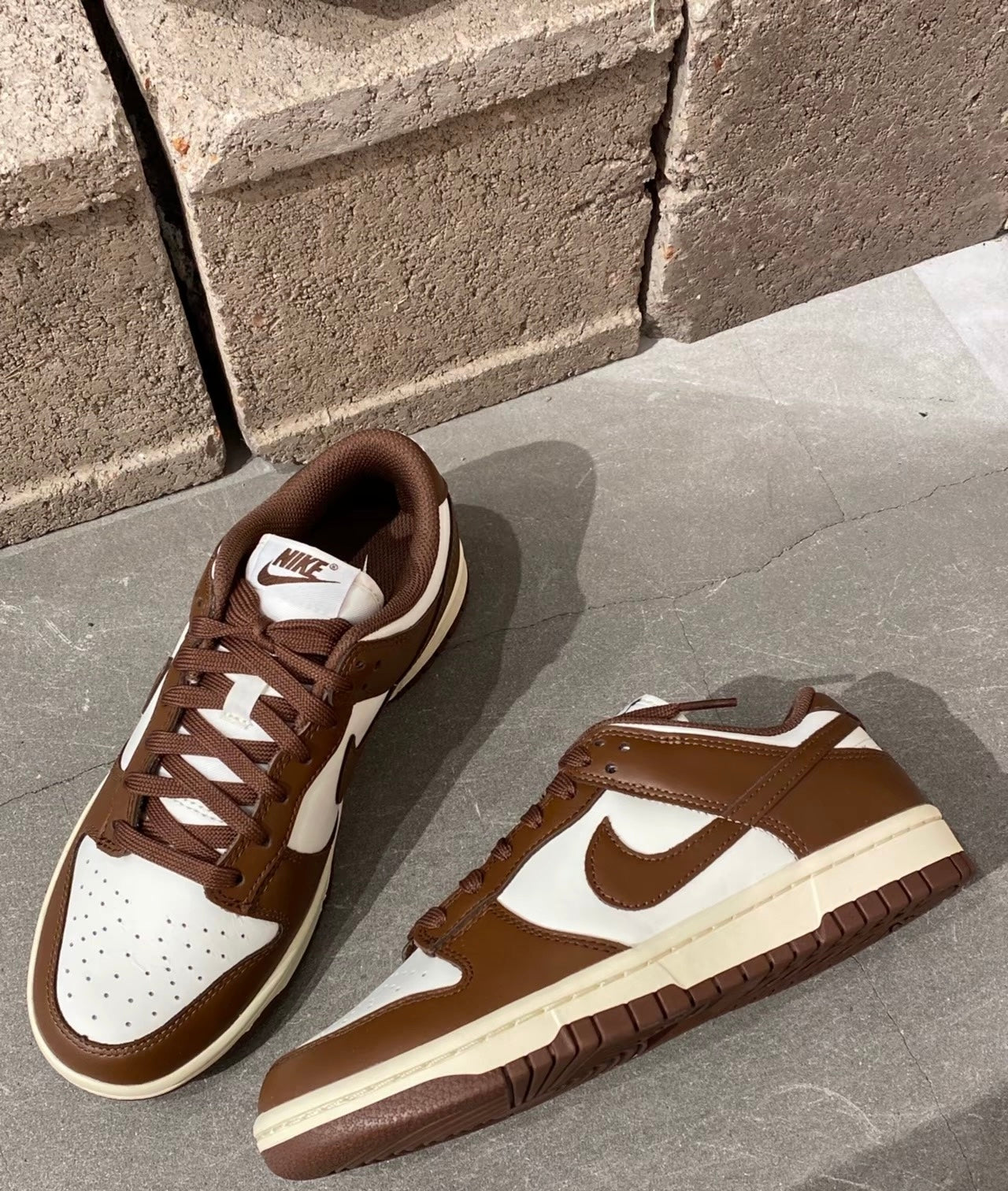 (秋季優惠) Nike Dunk Low Surfaces In Brown &Sail (DD1503-124)