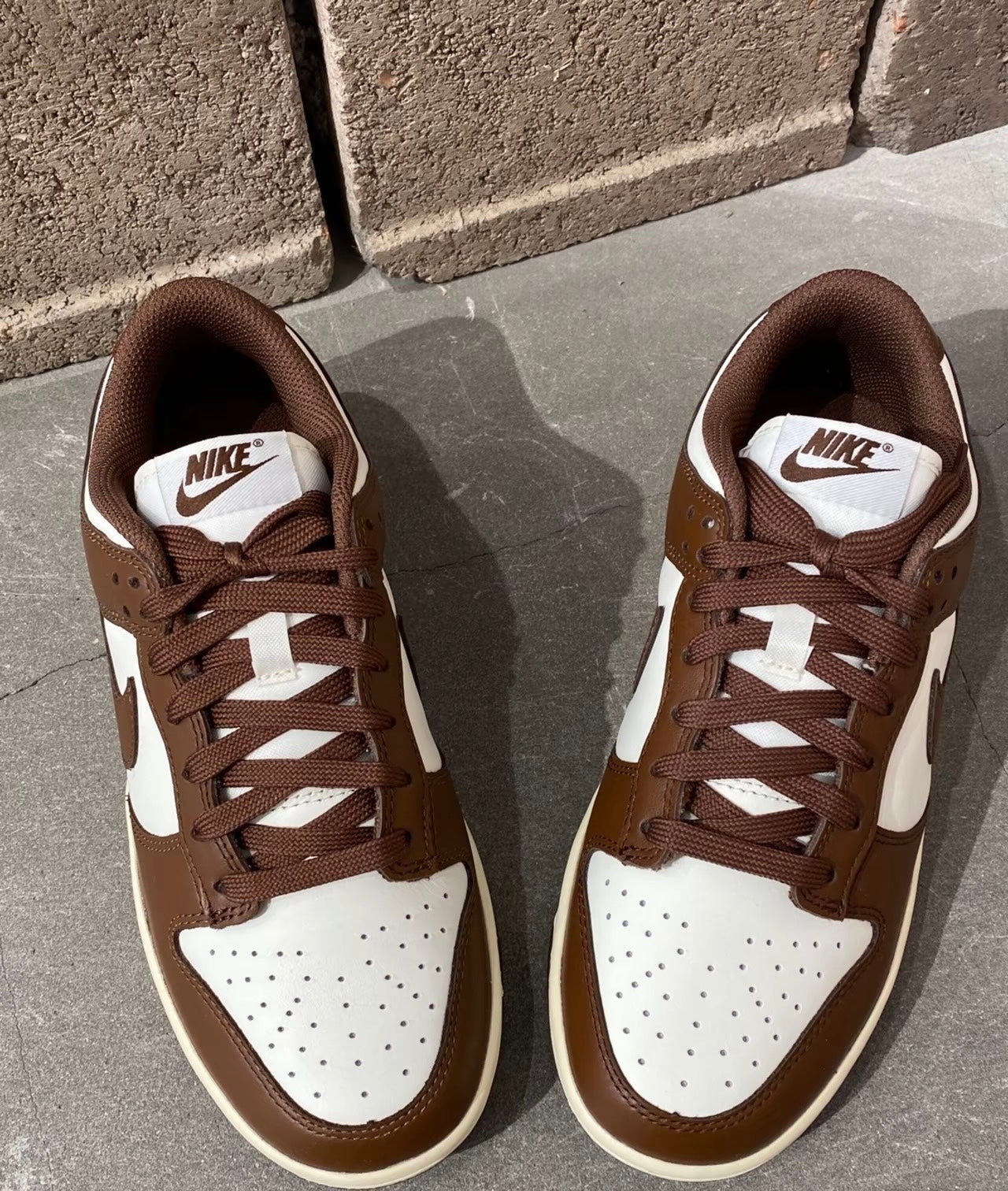 (秋季優惠) Nike Dunk Low Surfaces In Brown &Sail (DD1503-124)