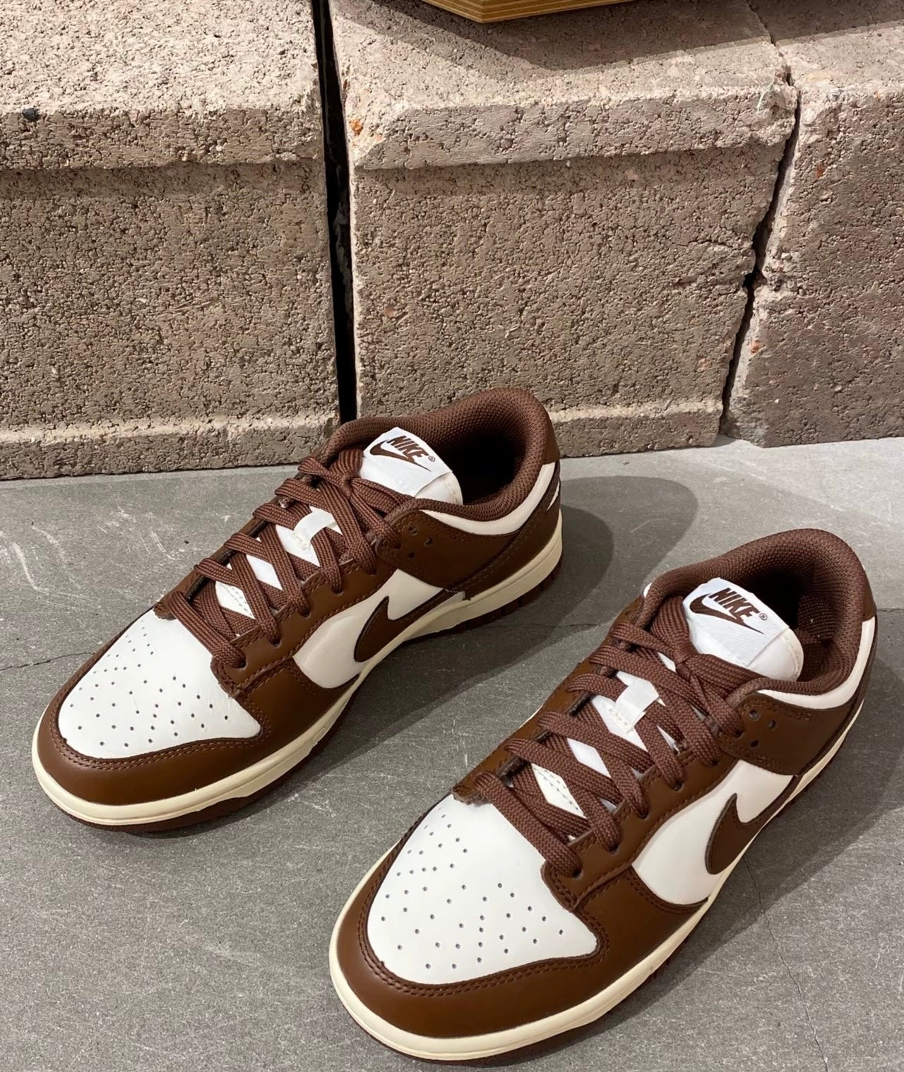 (秋季優惠) Nike Dunk Low Surfaces In Brown &Sail (DD1503-124)