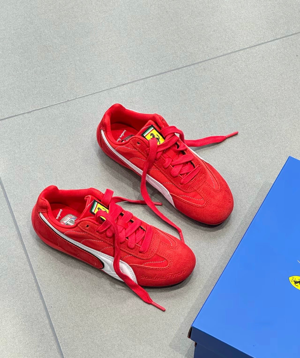 Scuderia Ferrari HP × PUMA Speedcat 法拉利紅色(309077-01)
