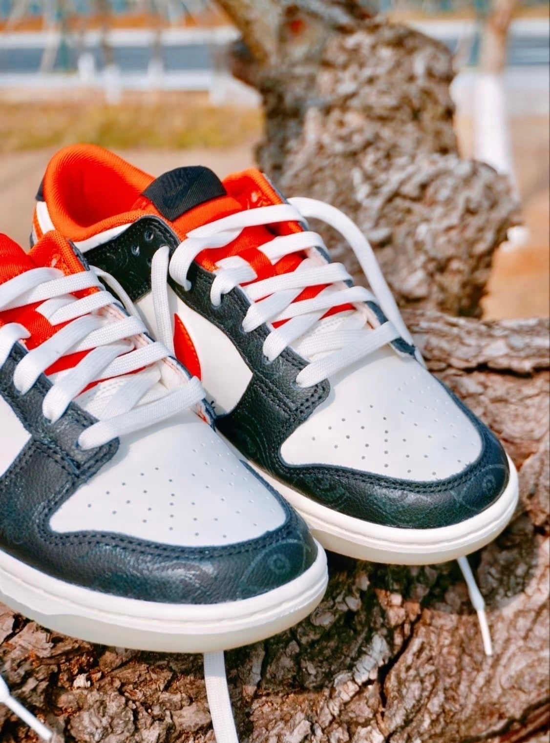 Nike Dunk Low PRM Halloween GS 夜光萬聖節 (DO3806-100)