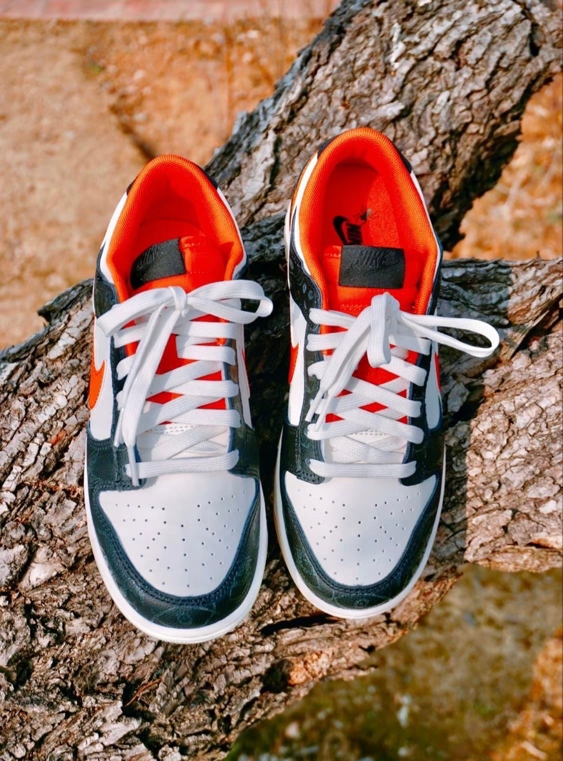 Nike Dunk Low PRM Halloween GS 夜光萬聖節 (DO3806-100)