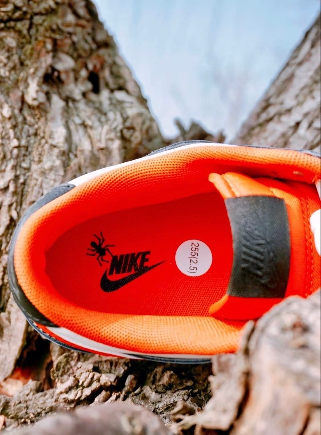 Nike Dunk Low PRM Halloween GS 夜光萬聖節 (DO3806-100)