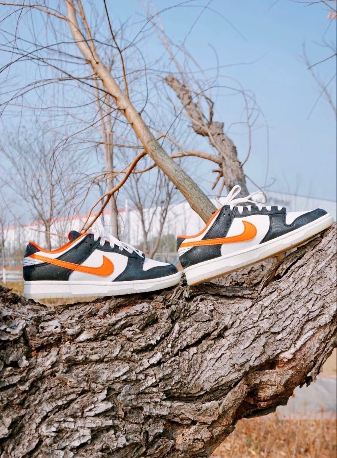 Nike Dunk Low PRM Halloween GS 夜光萬聖節 (DO3806-100)