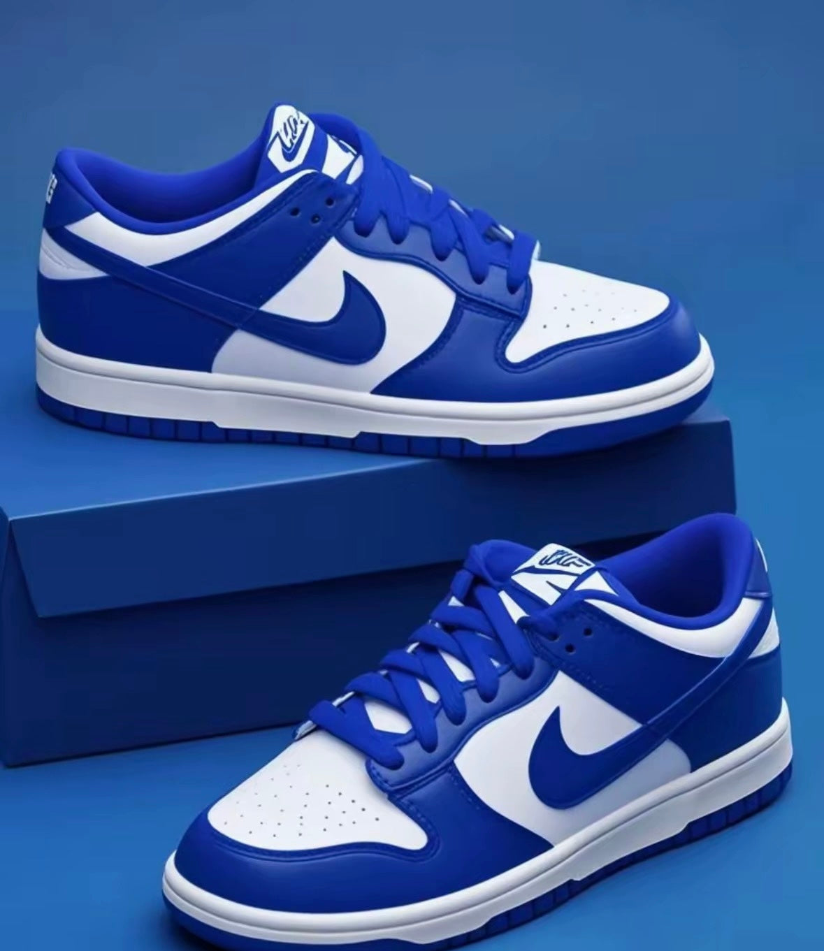 Nike Dunk low Concord GS (FB9109-106)