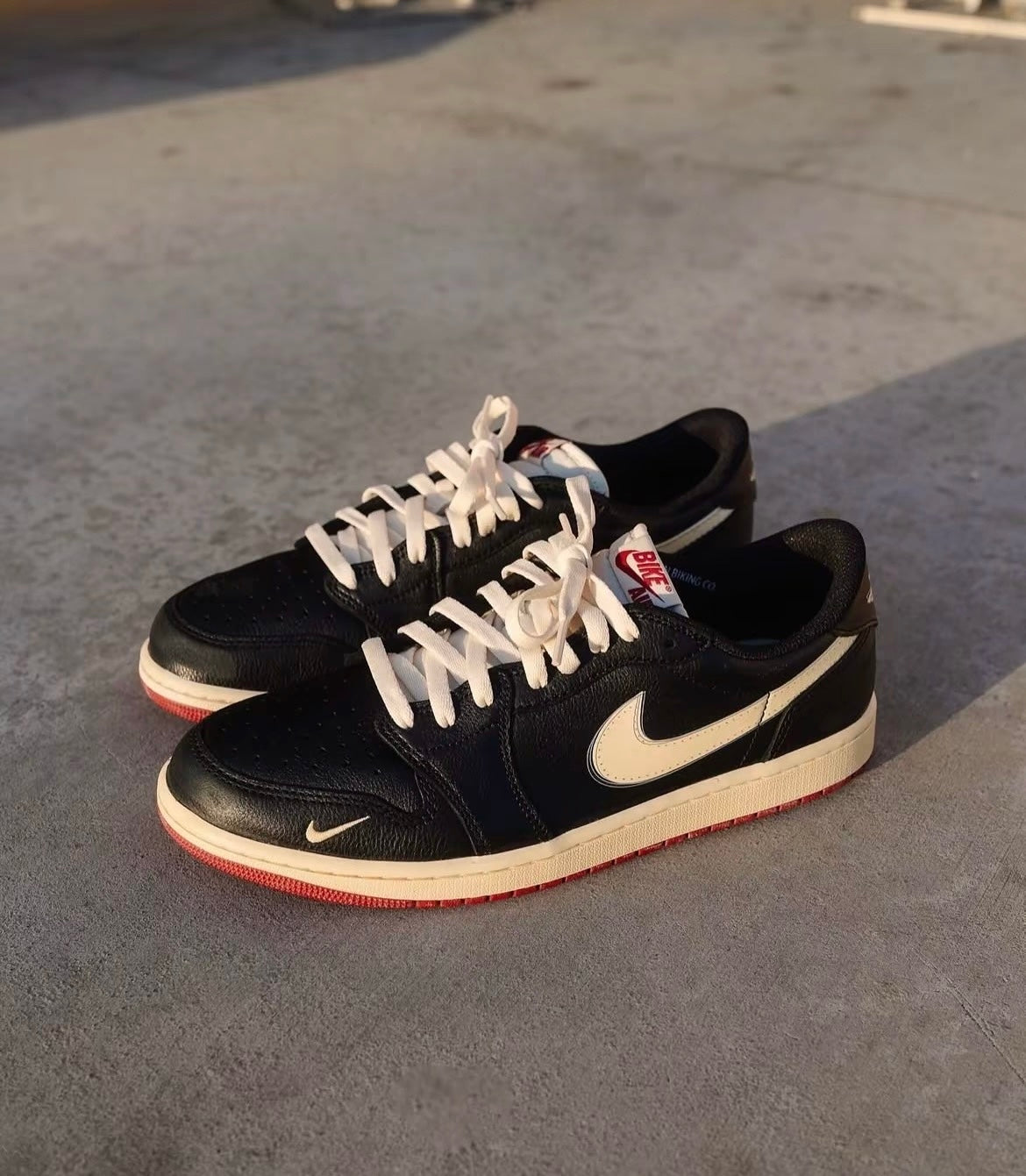 igel Sylvester x Air Jordan 1 Low (IB8958-001)