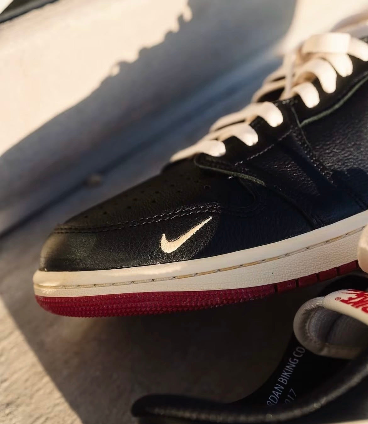 igel Sylvester x Air Jordan 1 Low (IB8958-001)