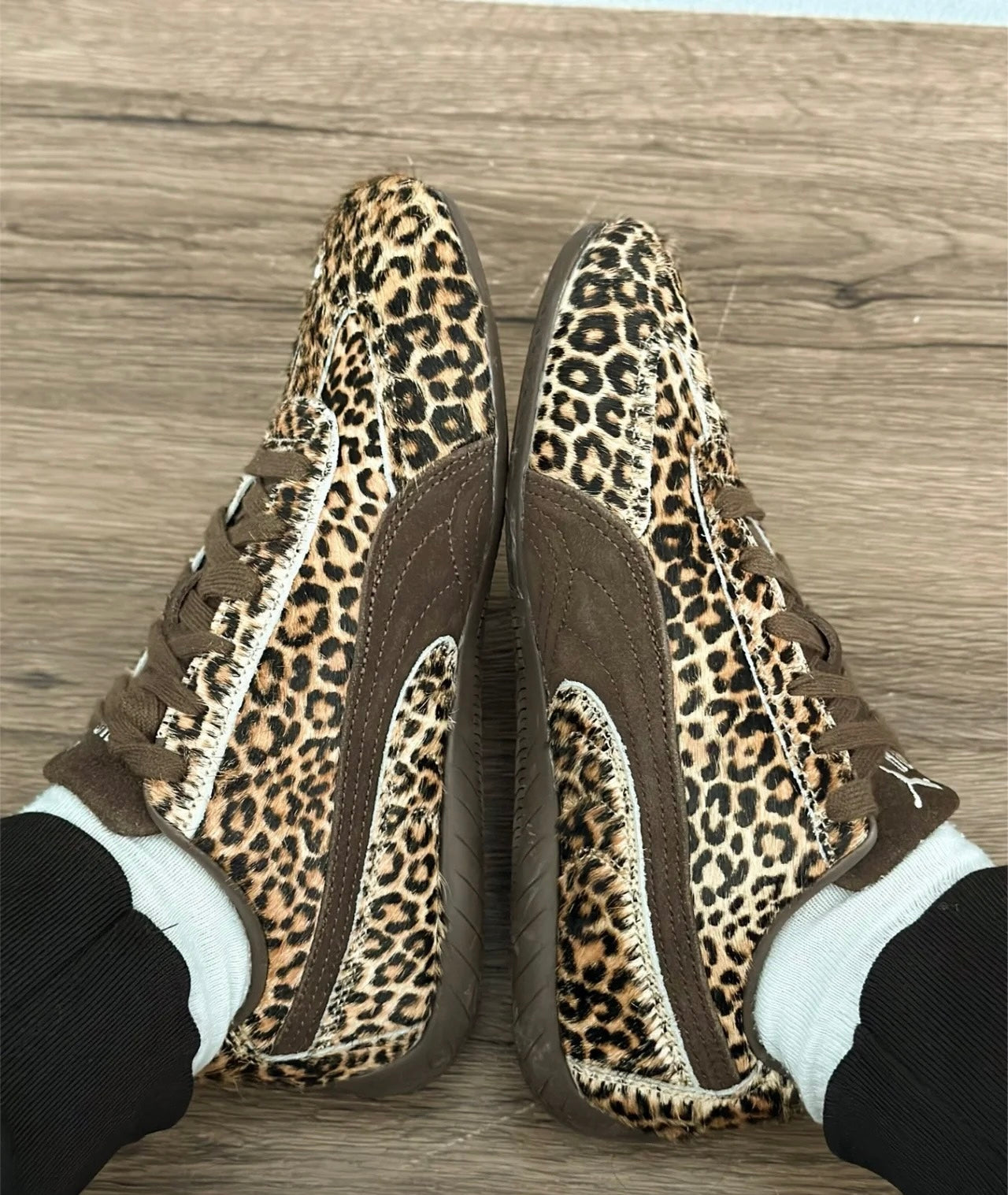 Puma Speedcat WILD 豹紋 (406690-01)
