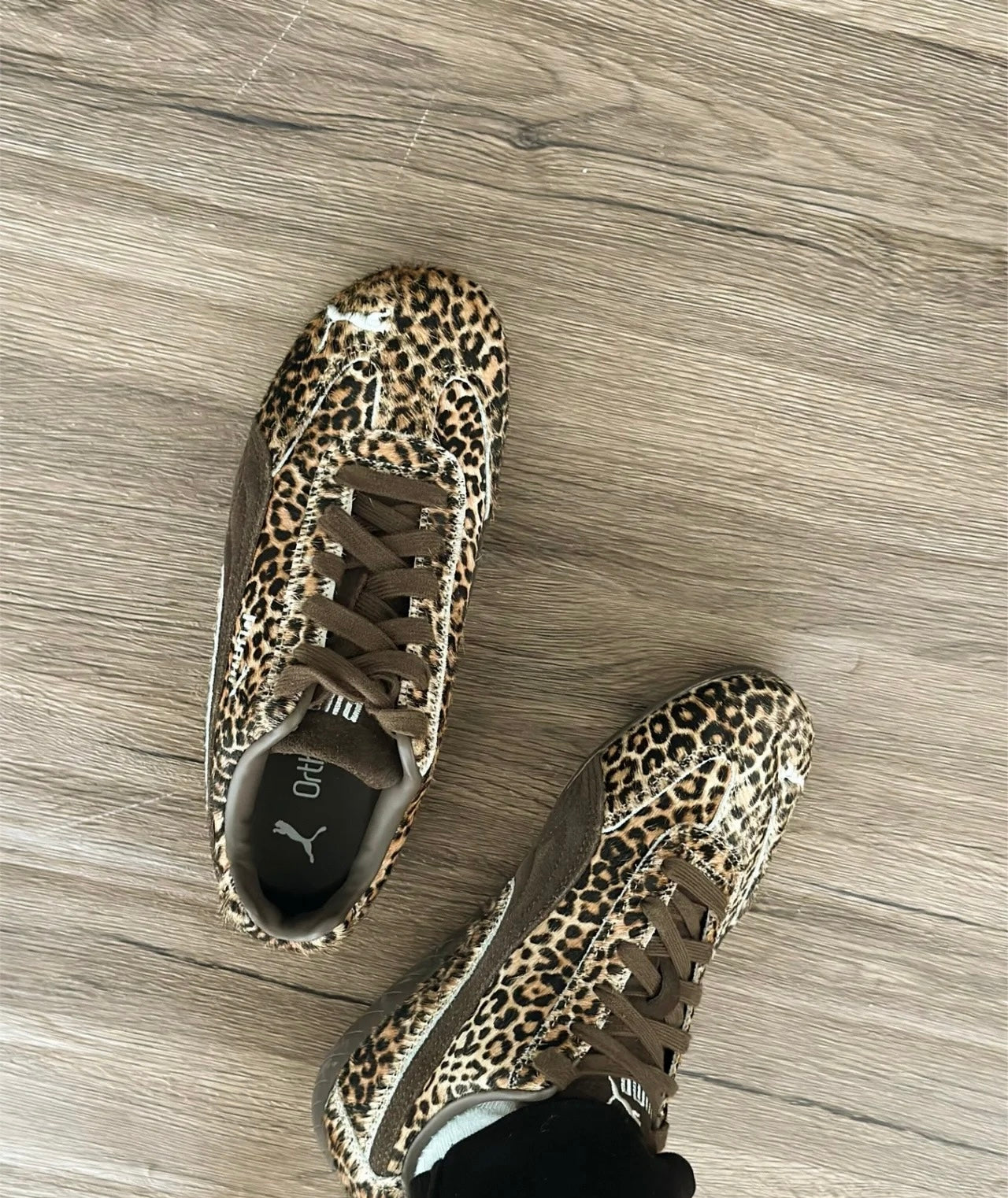 Puma Speedcat WILD 豹紋 (406690-01)