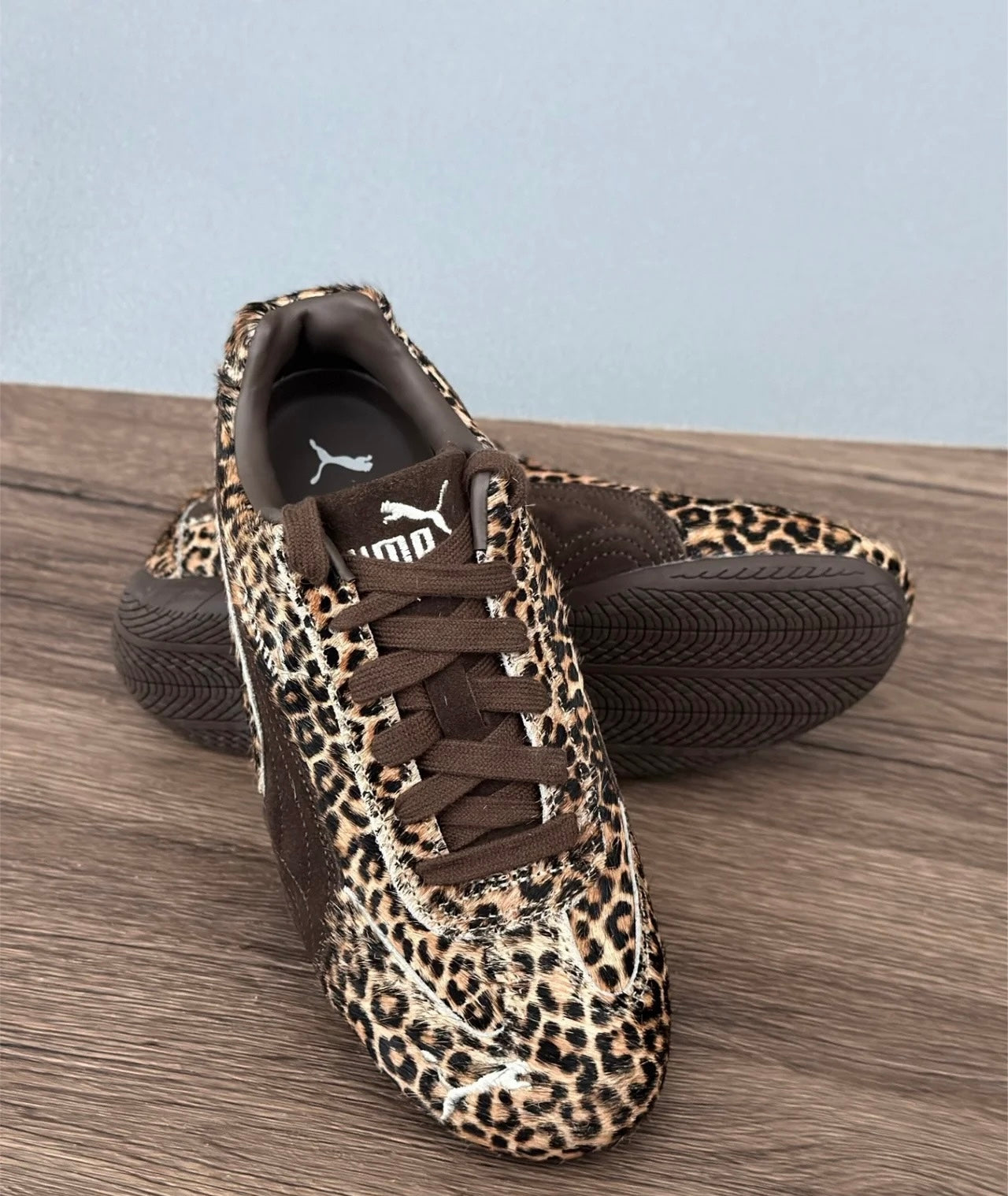 Puma Speedcat WILD 豹紋 (406690-01)