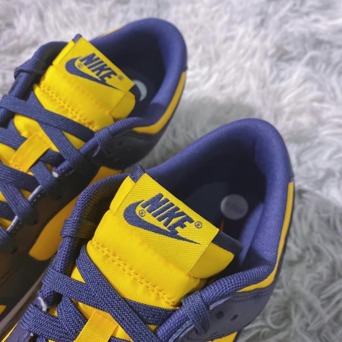 Nike Dunk Low - Michigan 2021 (DD1391-700)