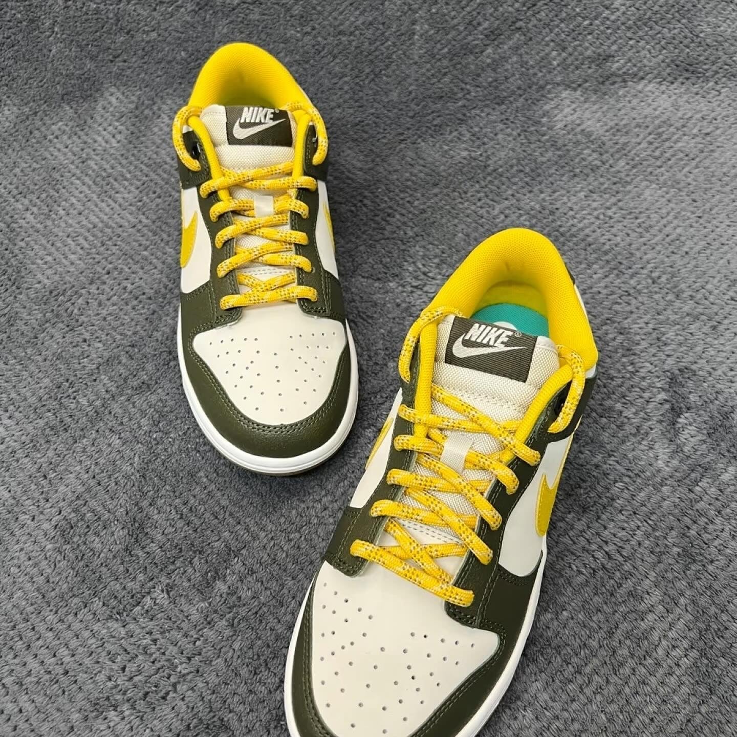 Nike Dunk Low Retro PRM (FV3629-371)