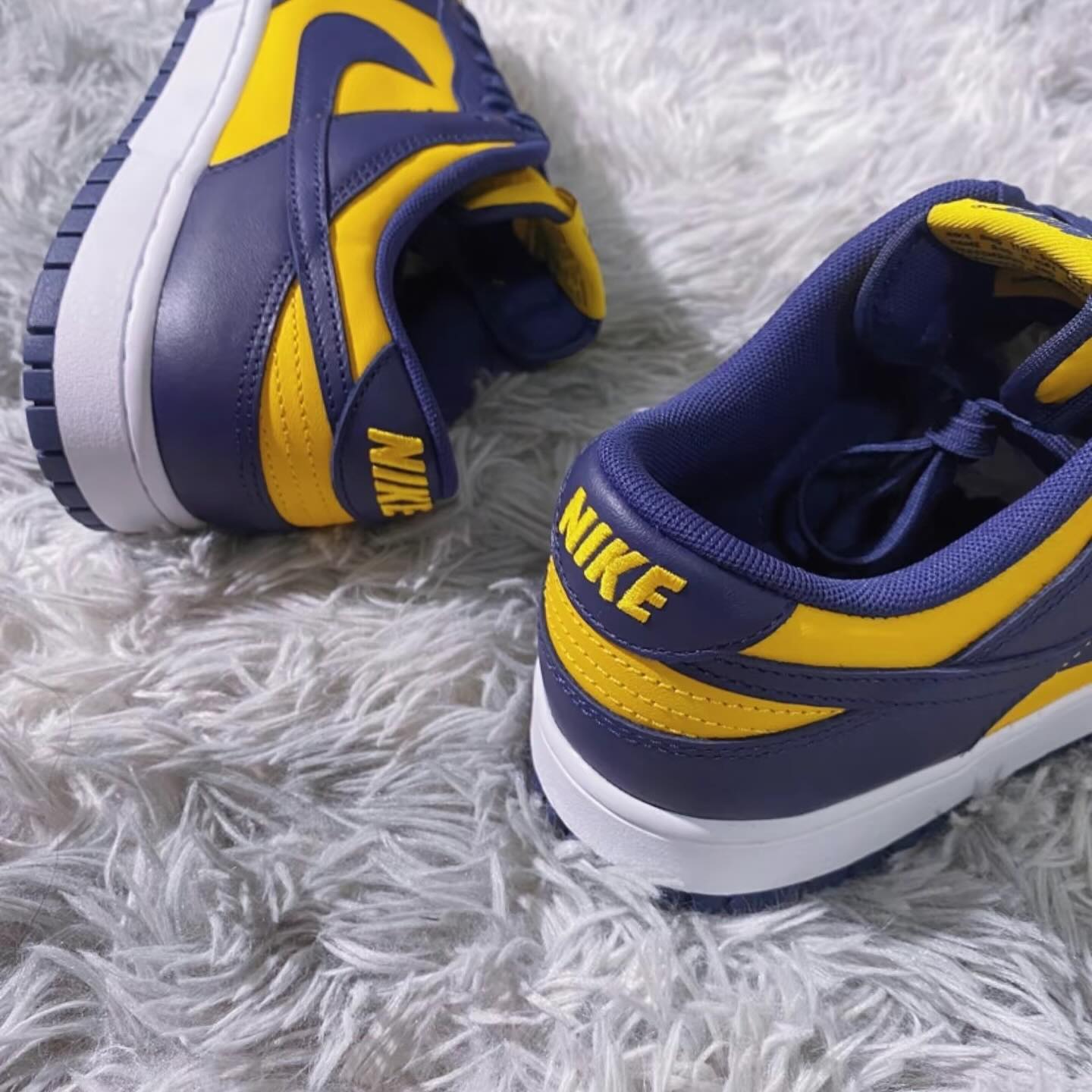 Nike Dunk Low - Michigan 2021 (DD1391-700)