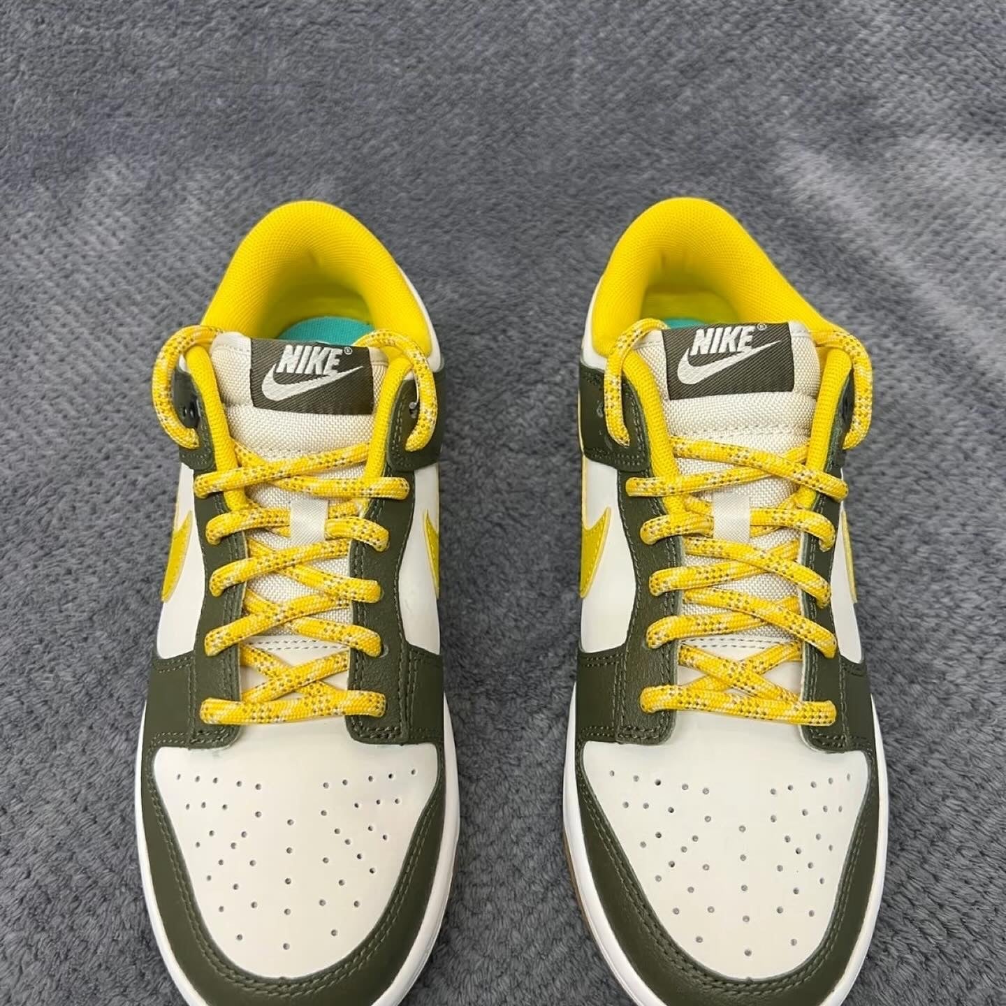 Nike Dunk Low Retro PRM (FV3629-371)