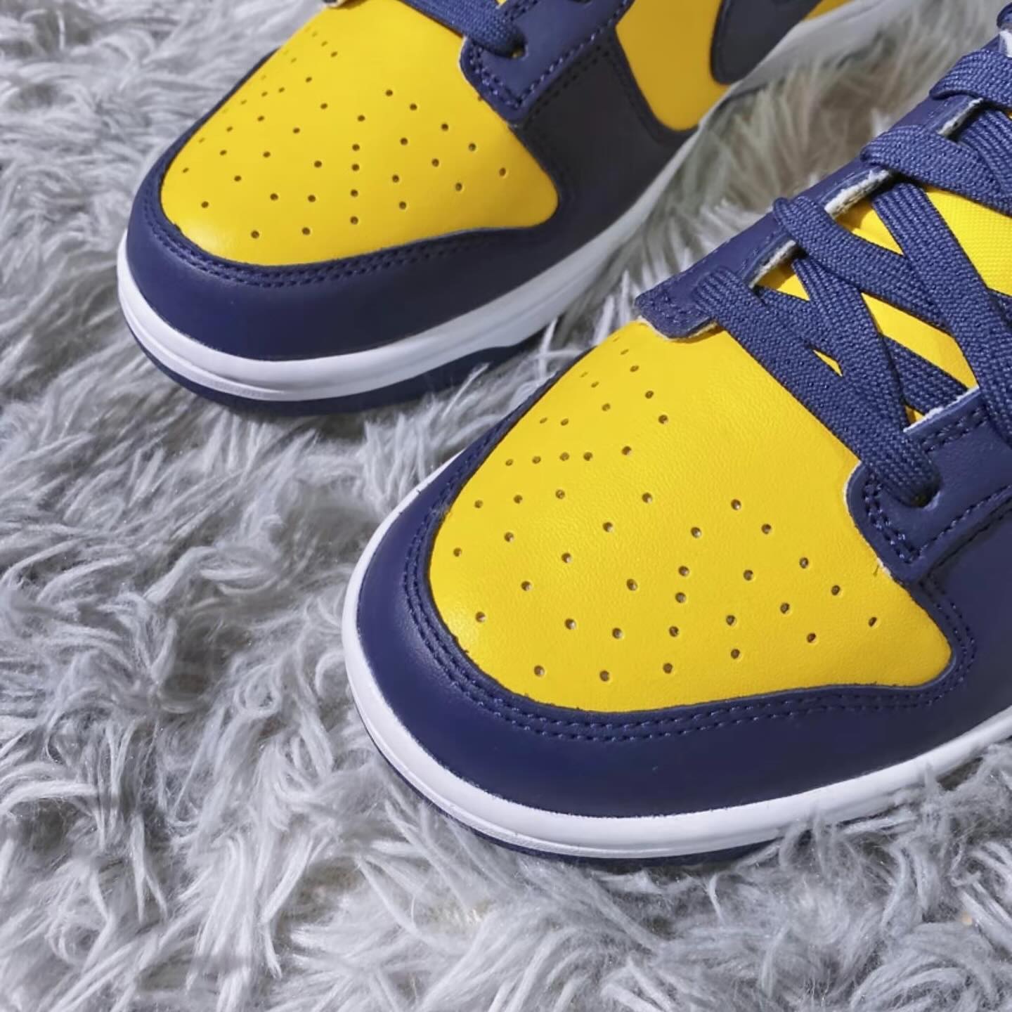 Nike Dunk Low - Michigan 2021 (DD1391-700)