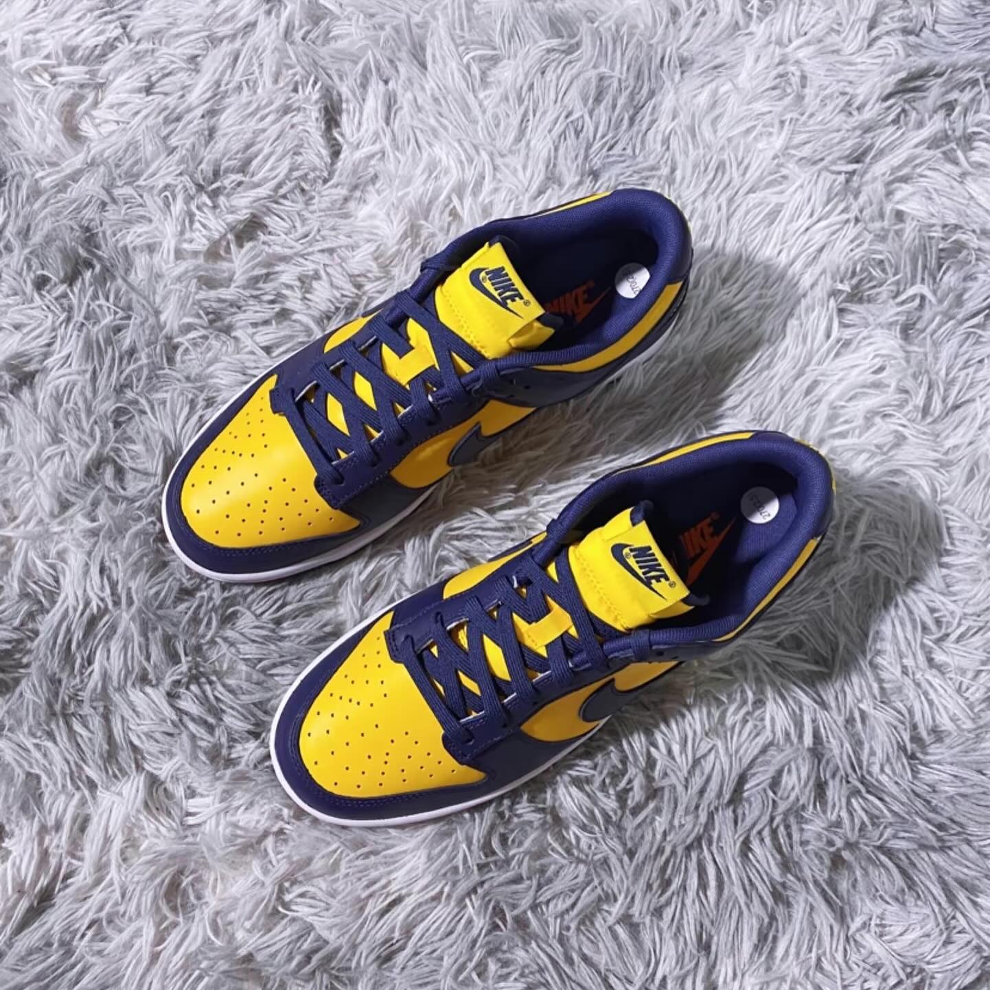 Nike Dunk Low - Michigan 2021 (DD1391-700)