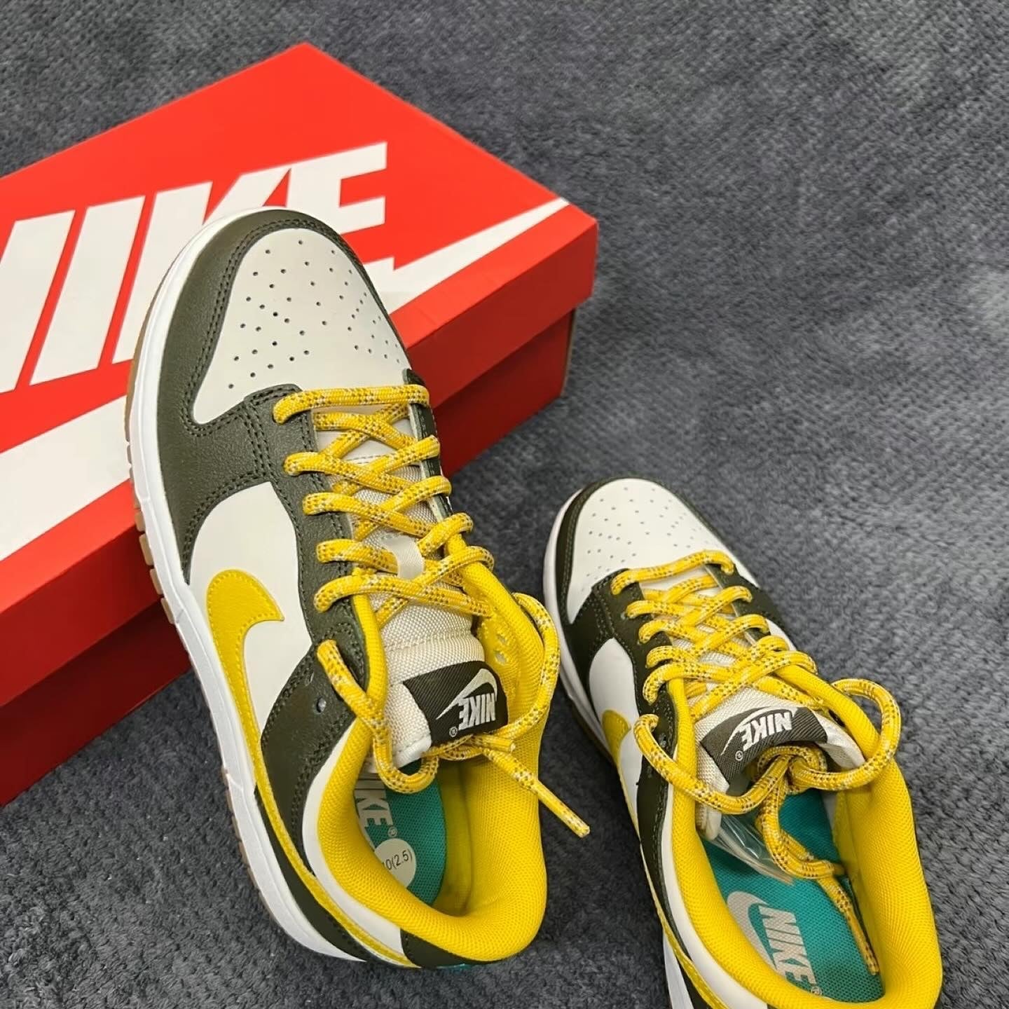 Nike Dunk Low Retro PRM (FV3629-371)