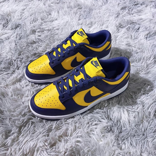 Nike Dunk Low - Michigan 2021 (DD1391-700)