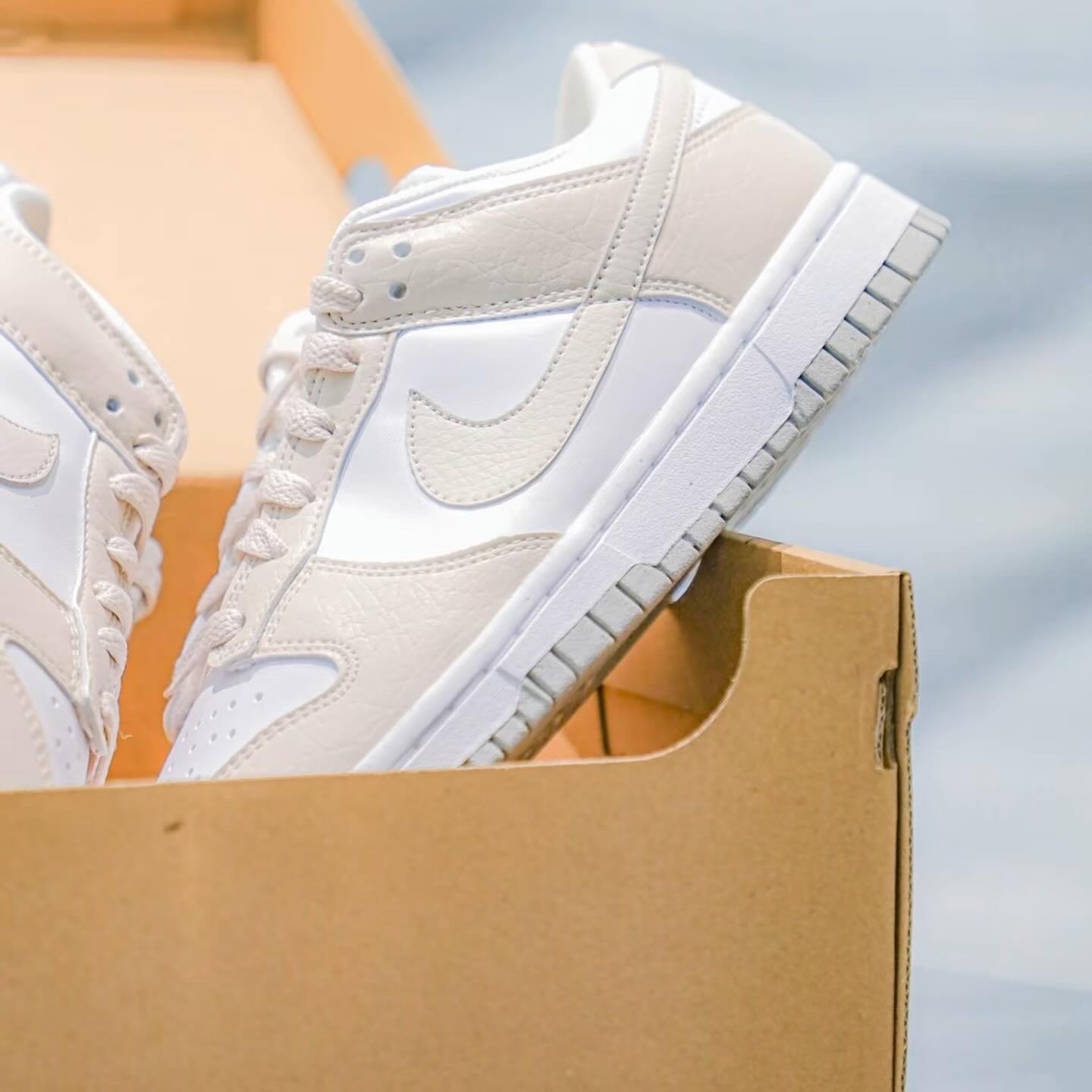 Nike Dunk Low NN White Light Orewood (DN1431-100)