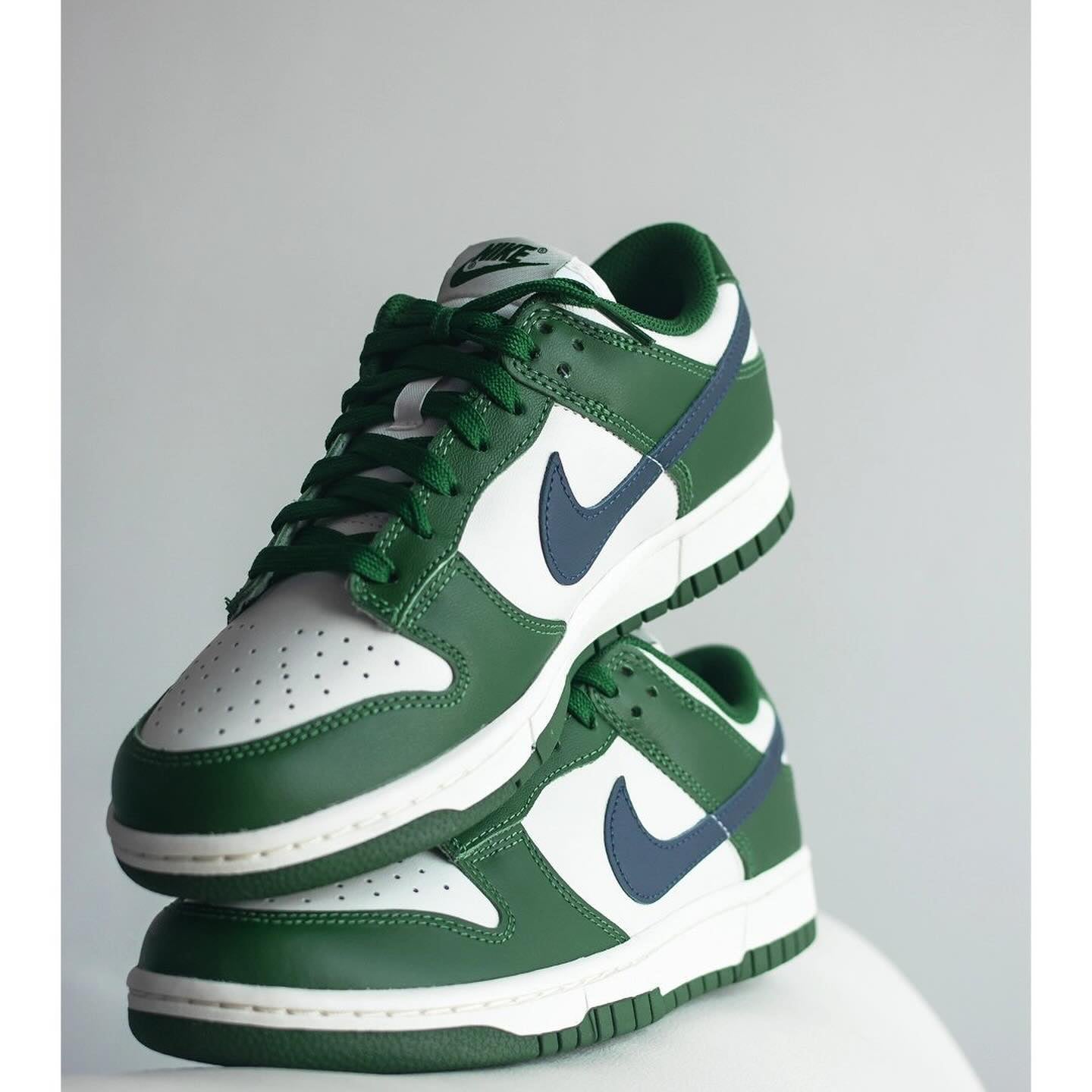 Nike Dunk Low Gorge Green (DD1503-300)