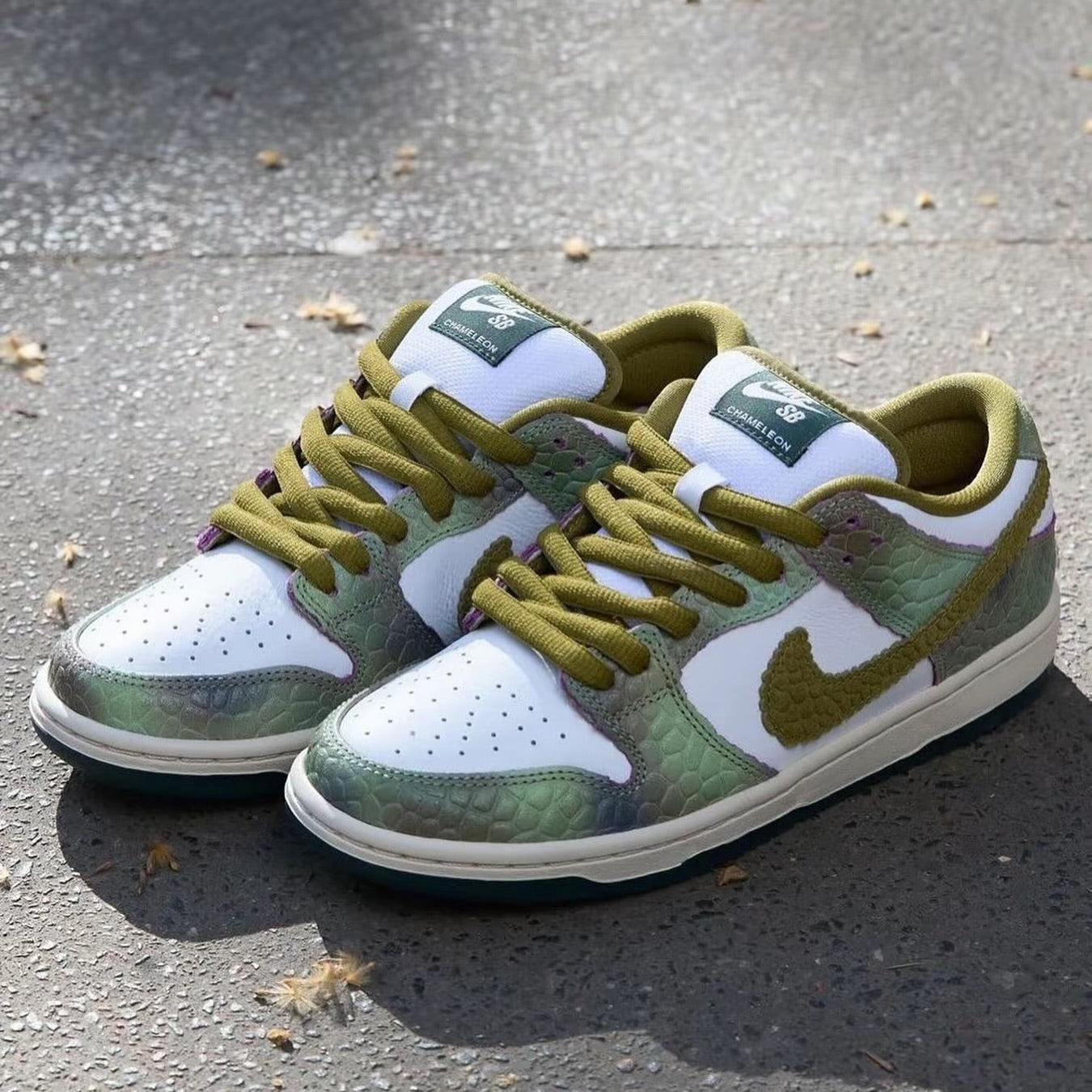 Alexis Sablone x Nike Dunk Low SB ”Chameleon“ 綠棕(HJ3386-300)