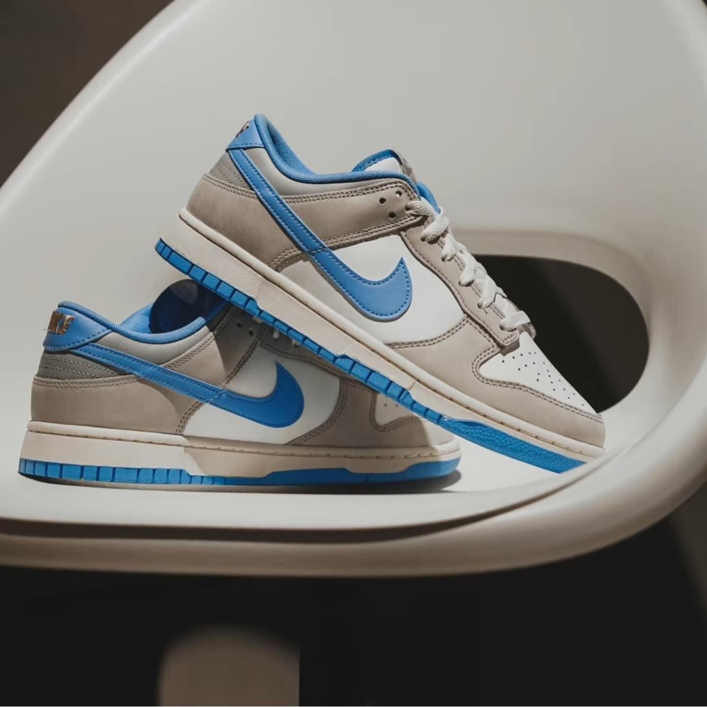 Nike Dunk Low Athletic Department (FN7488-133)