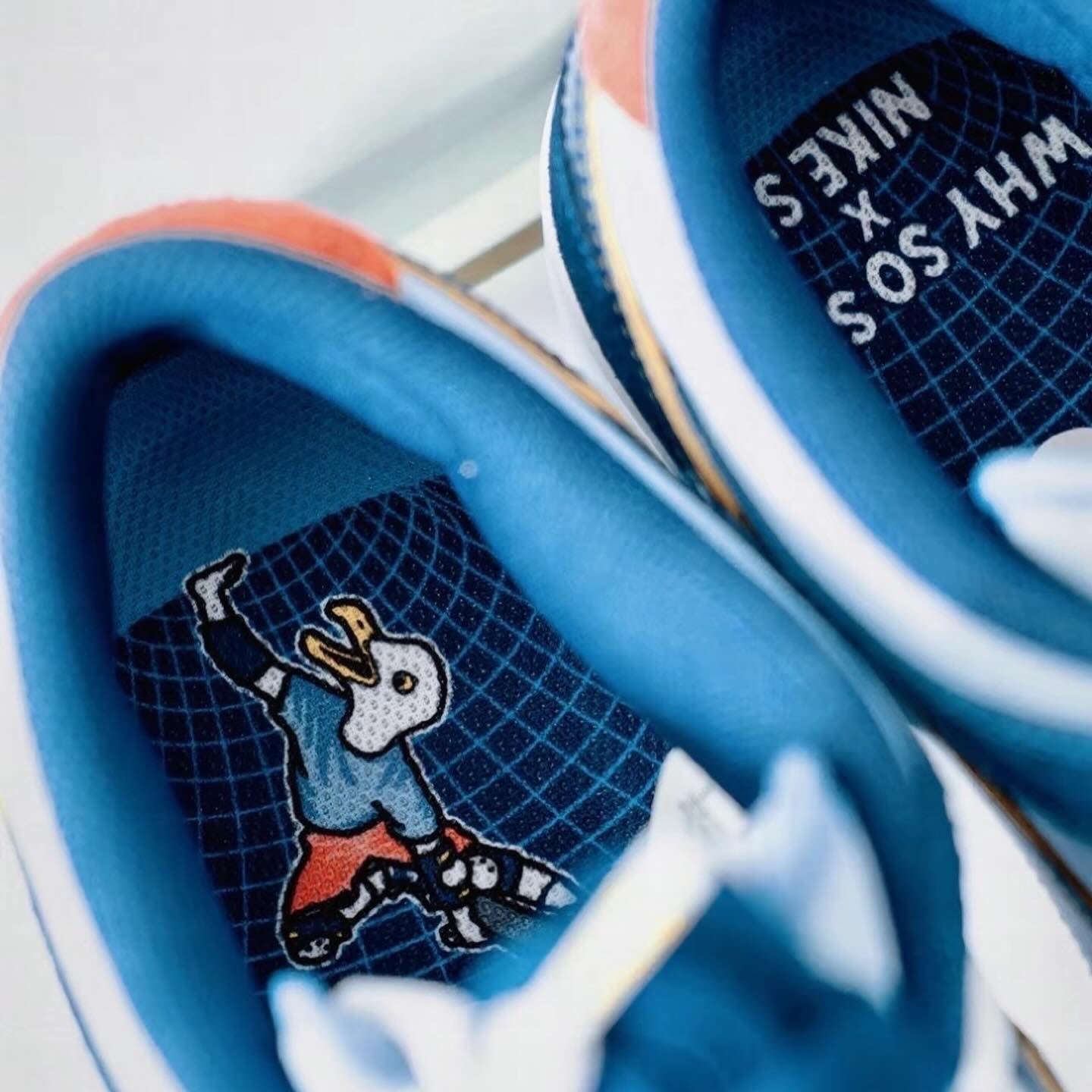 Nike Sb Dunk Low Pro X Why So Sad (DX5549-400)