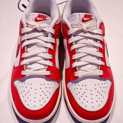 Nike Dunk Low Cosmic Clay 米白紅色 (HJ3491-161)