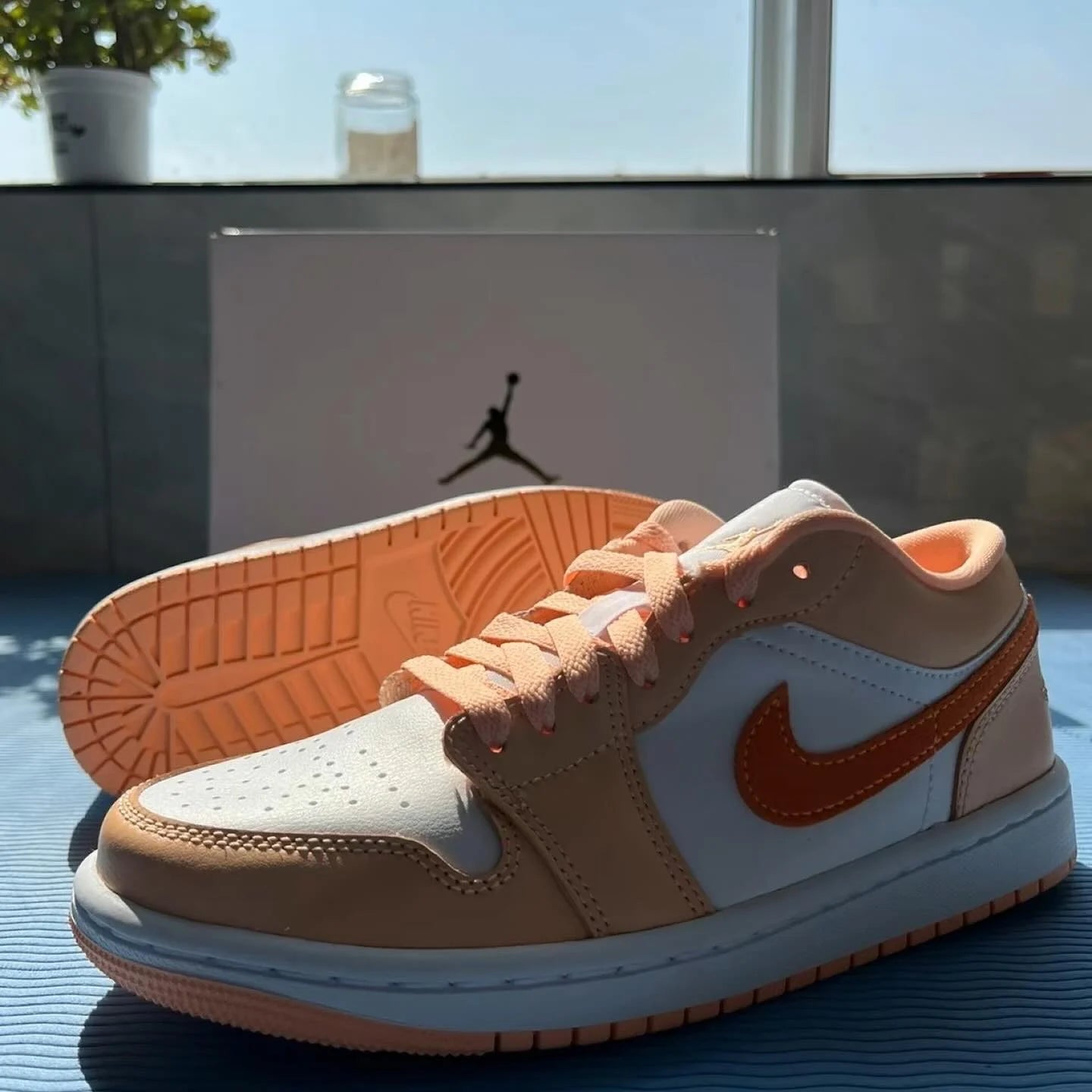 Nike Air Jordan 1 Low Sunset Haze (DC0774-801)