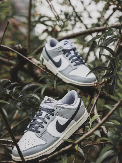 Nike Dunk Low “Light Smoke Grey” (DD1503-117)