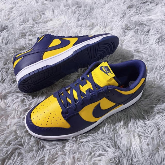 Nike Dunk Low - Michigan 2021 (DD1391-700)