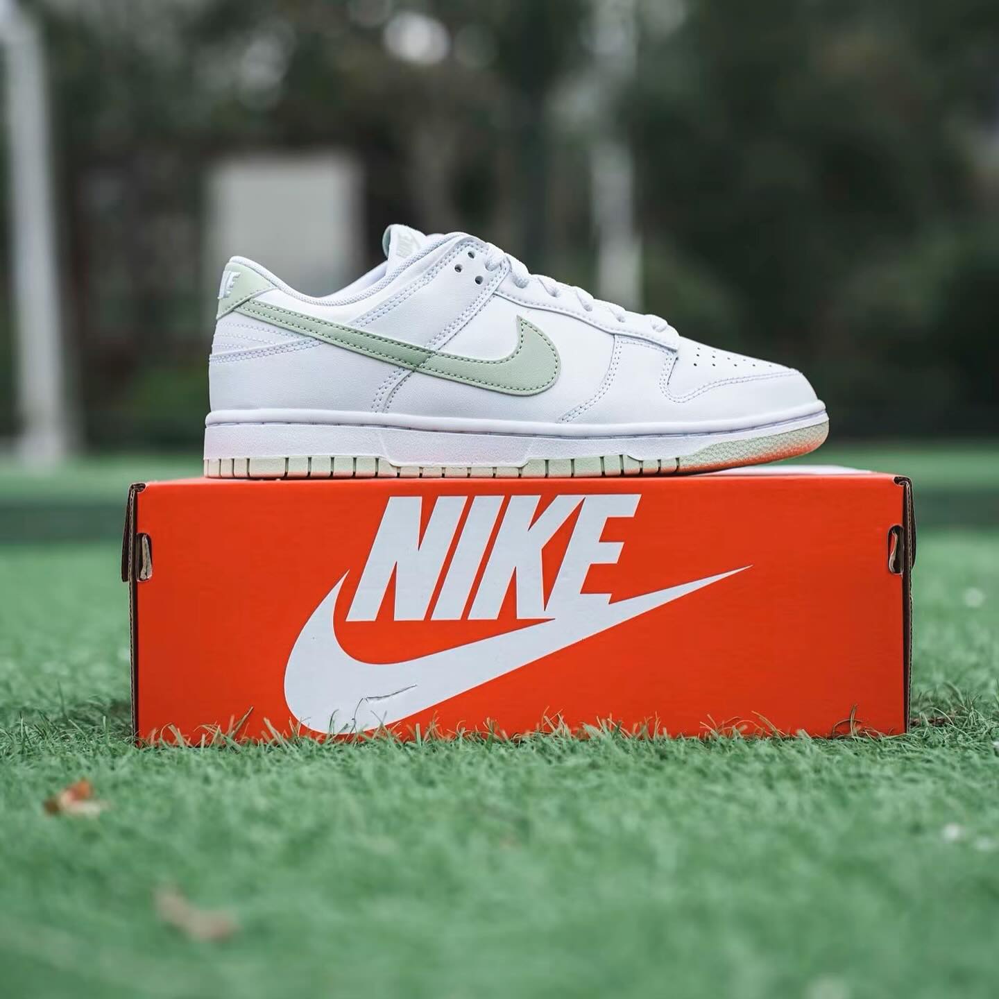 Nike Dunk low Honeydew (DV0831-105)