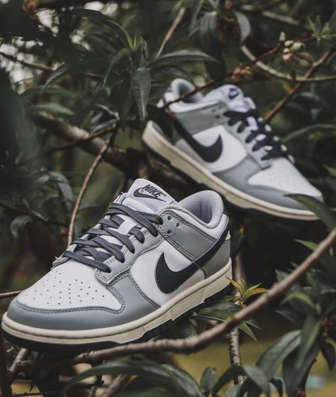 Nike Dunk Low “Light Smoke Grey” (DD1503-117)