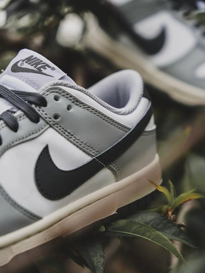 Nike Dunk Low “Light Smoke Grey” (DD1503-117)