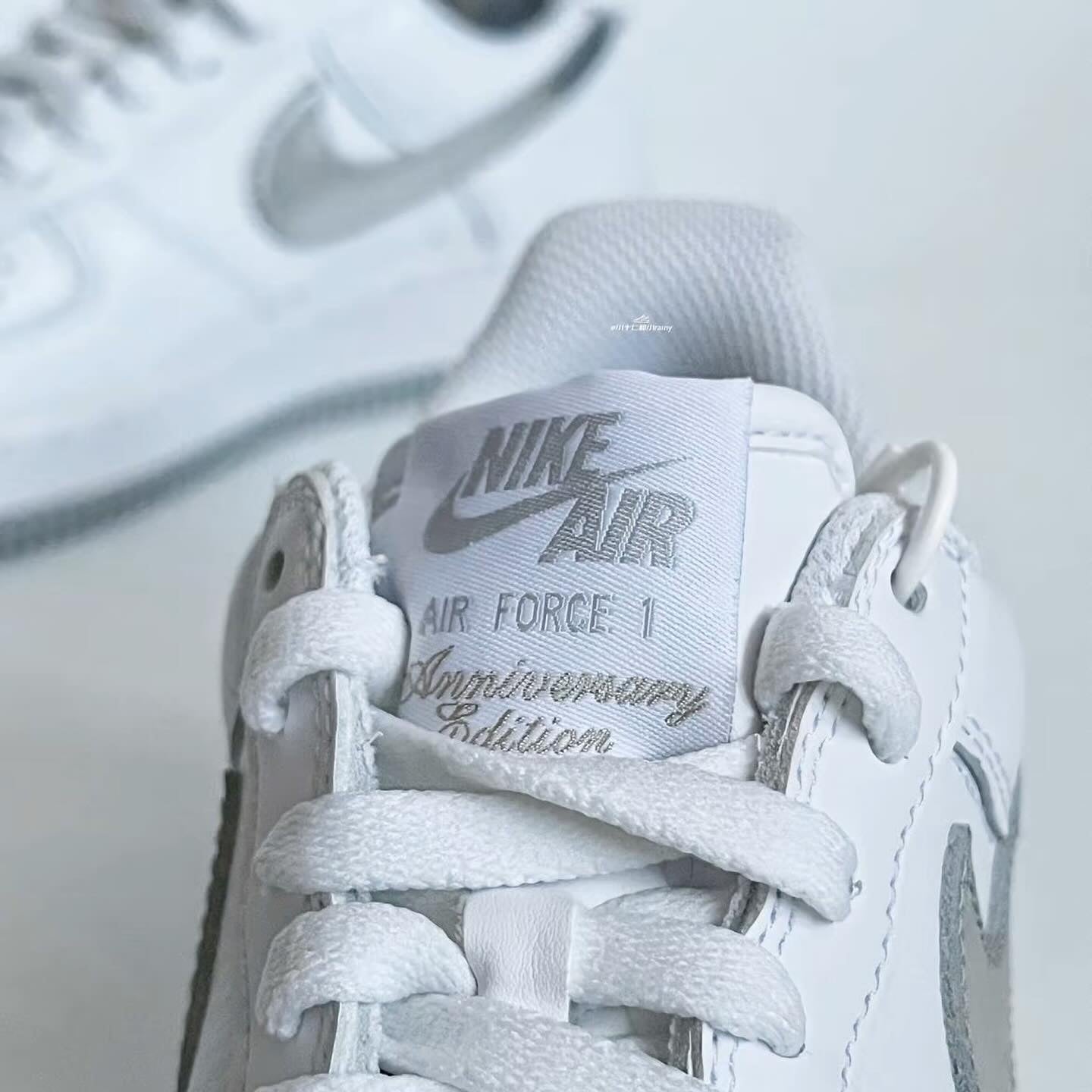 Nike Air Force Silver Swoosh (DZ6755-100)