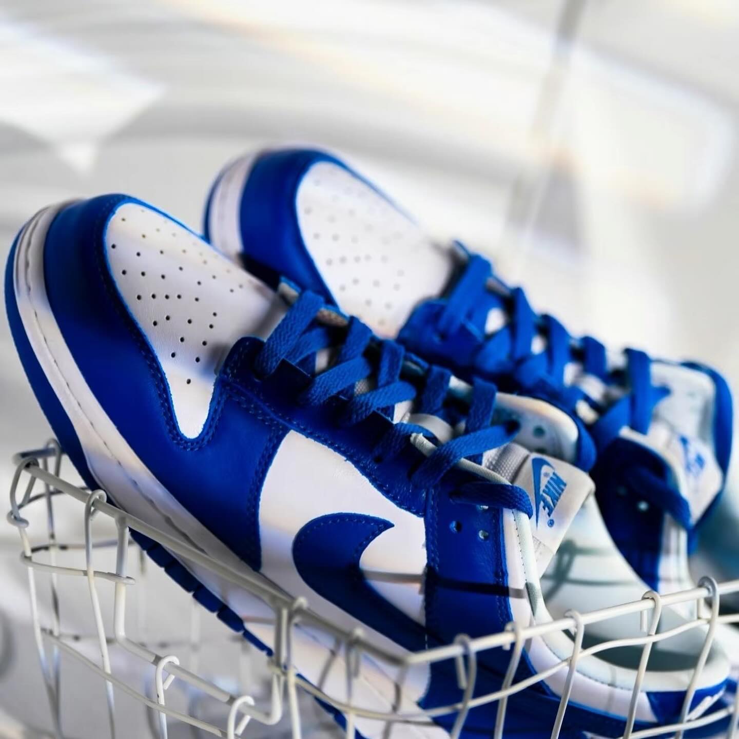 Dunk Low SP Kentucky (CU1726-100)