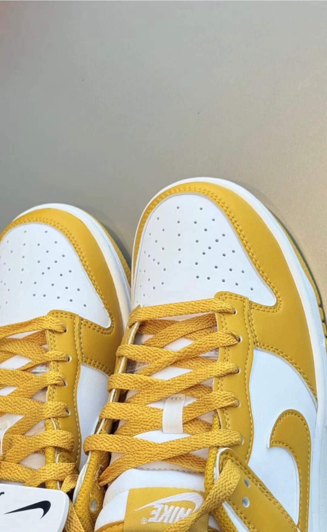 Nike Dunk Low 芥末黃 (HF5441-109)