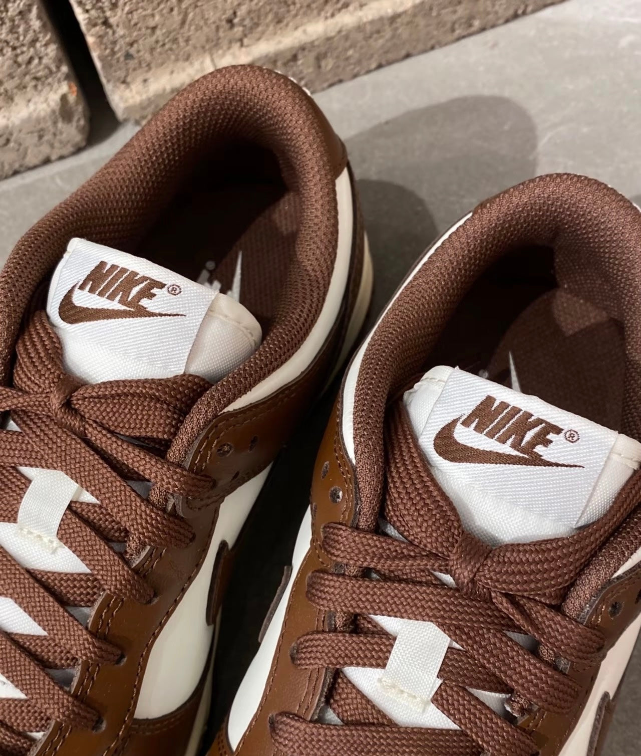 Nike Dunk Low Surfaces In Brown &Sail (DD1503-124)