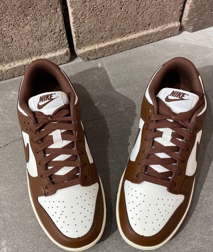 Nike Dunk Low Surfaces In Brown &Sail (DD1503-124)