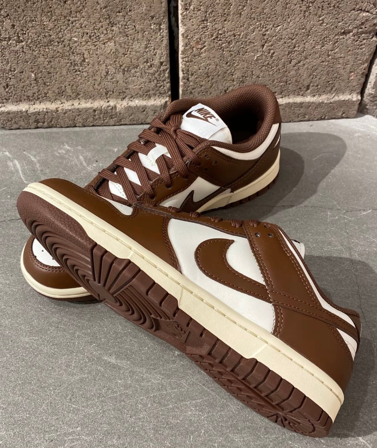 Nike Dunk Low Surfaces In Brown &Sail (DD1503-124)