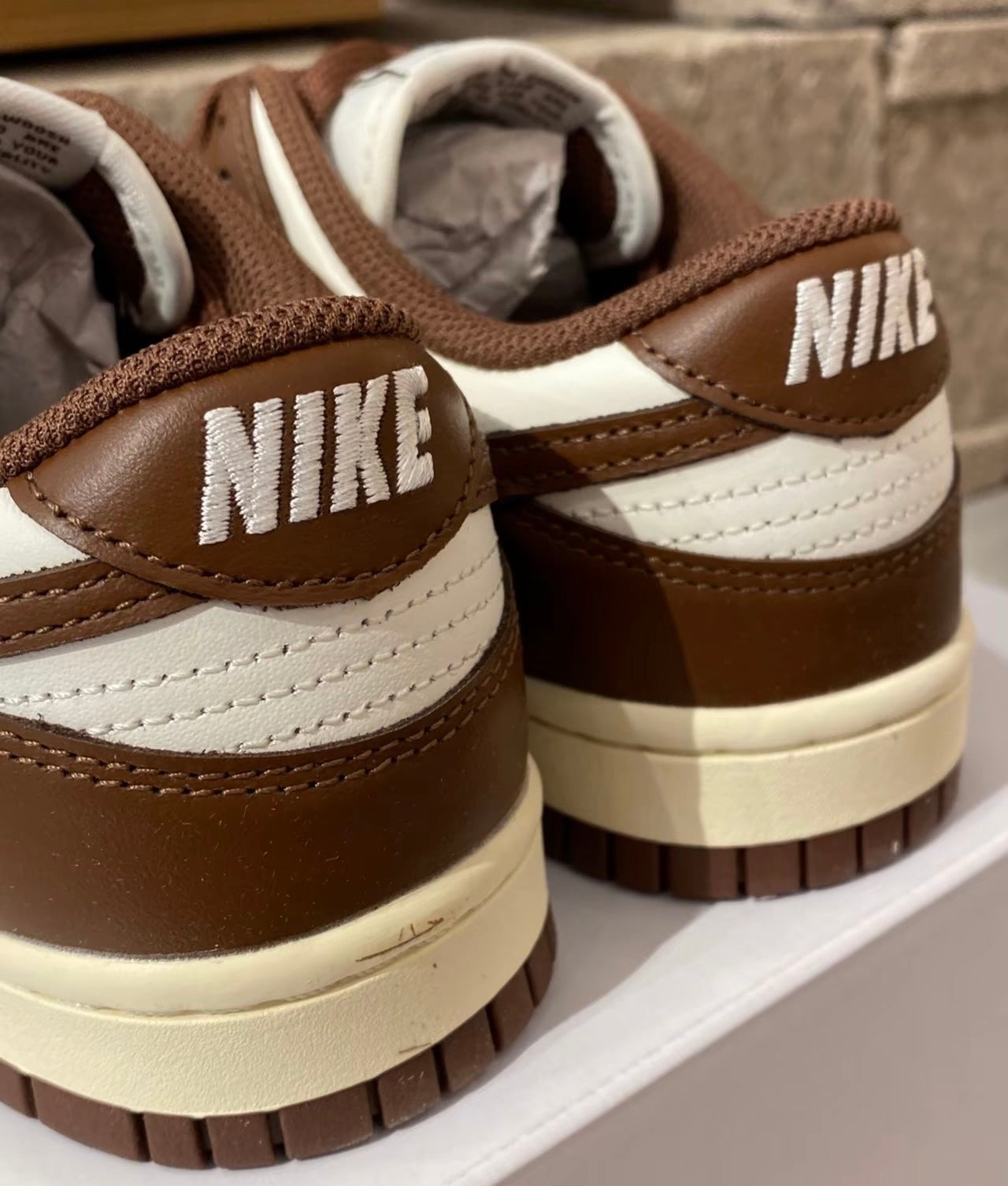 Nike Dunk Low Surfaces In Brown &Sail (DD1503-124)