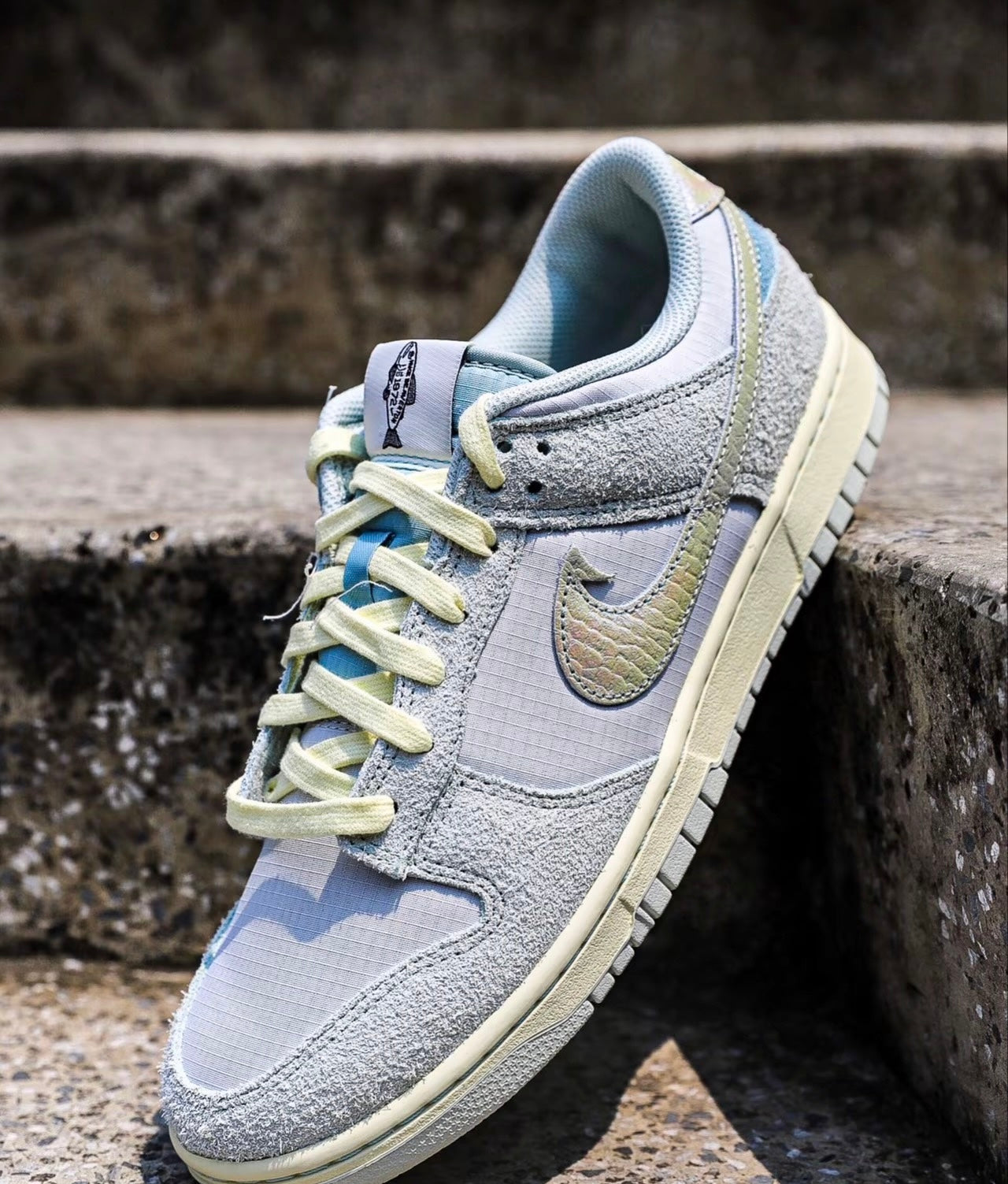 Nike Dunk Low Light Silver & Ocean Bliss (DV7210-001)