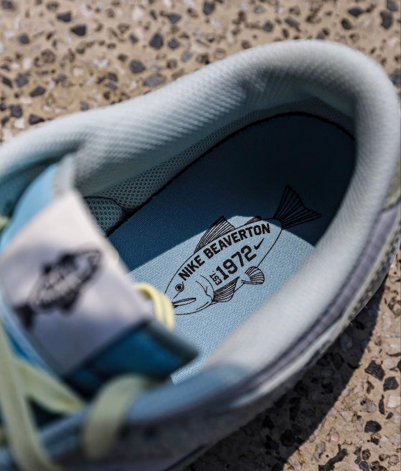 Nike Dunk Low Light Silver & Ocean Bliss (DV7210-001)